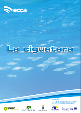 Prevención de la obesidad desde la infancia